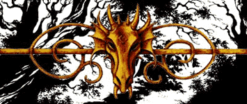 Enter in Dragon Forest