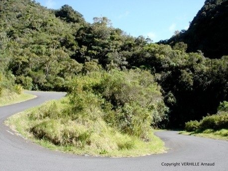 20081130-16_Gistlabs_on_the_road_..